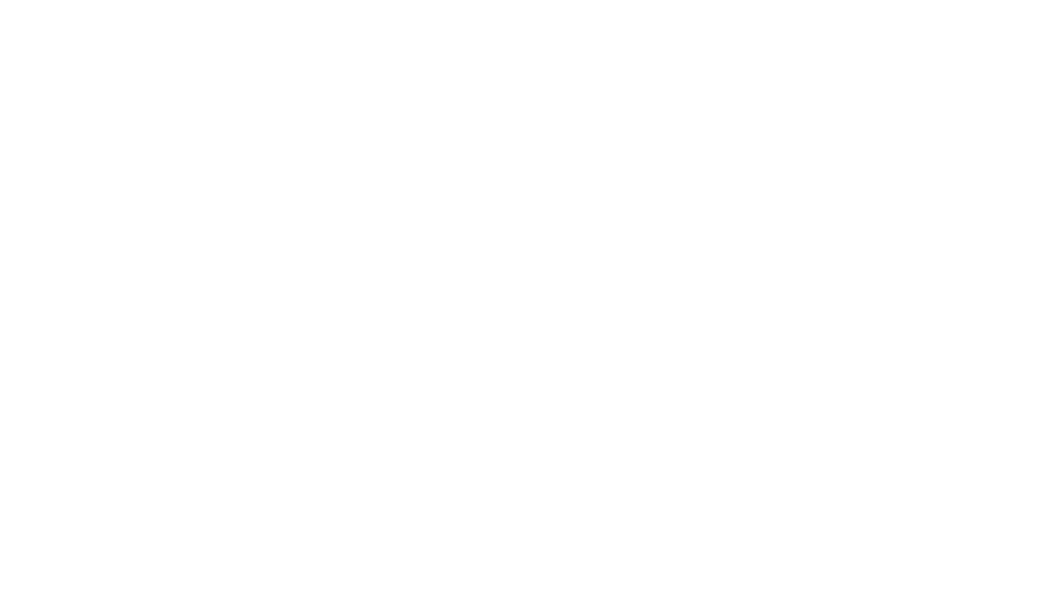 The Somnius Report The Somnius Report